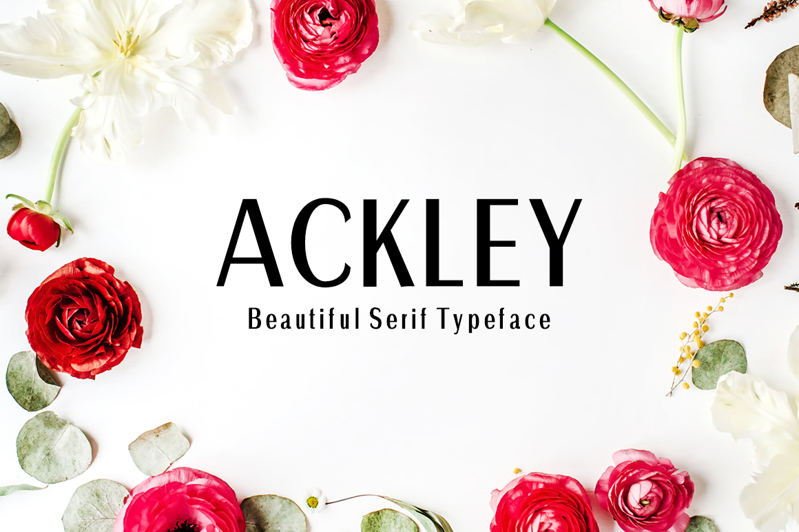 Ackley Typeface Review for Modern Web Design