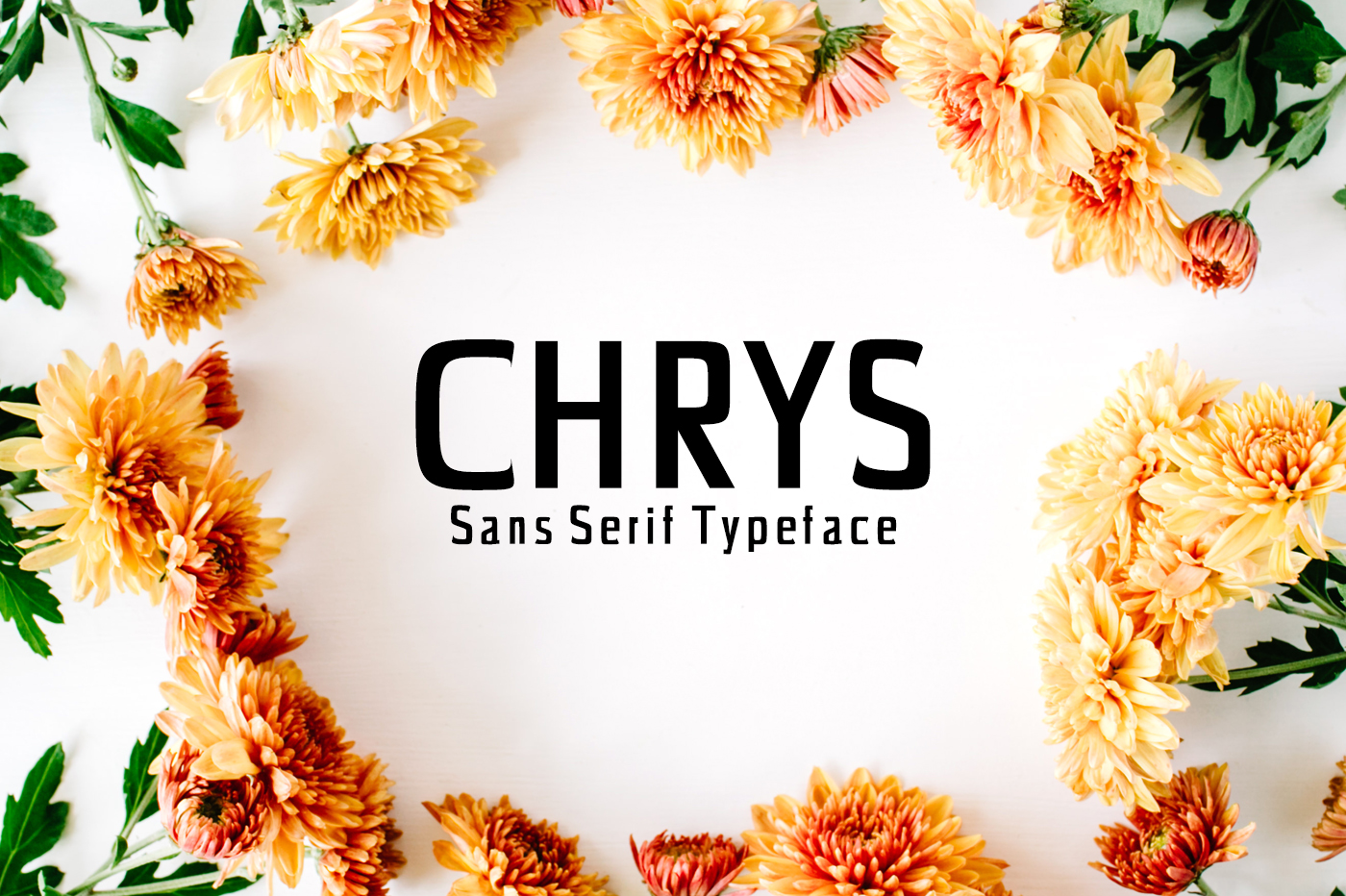 Chrys: The Bold Sans Serif Typeface That Elevates Small Business Branding