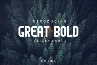 Great Bold: The Sans Serif Typeface That Makes Campaigns Unmissable