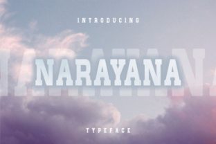 Narayana: The Bold Serif Typeface That Elevates Campaign Visuals