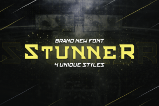 Stunner Family: The Bold Slab Serif Typeface for Modern Web Design